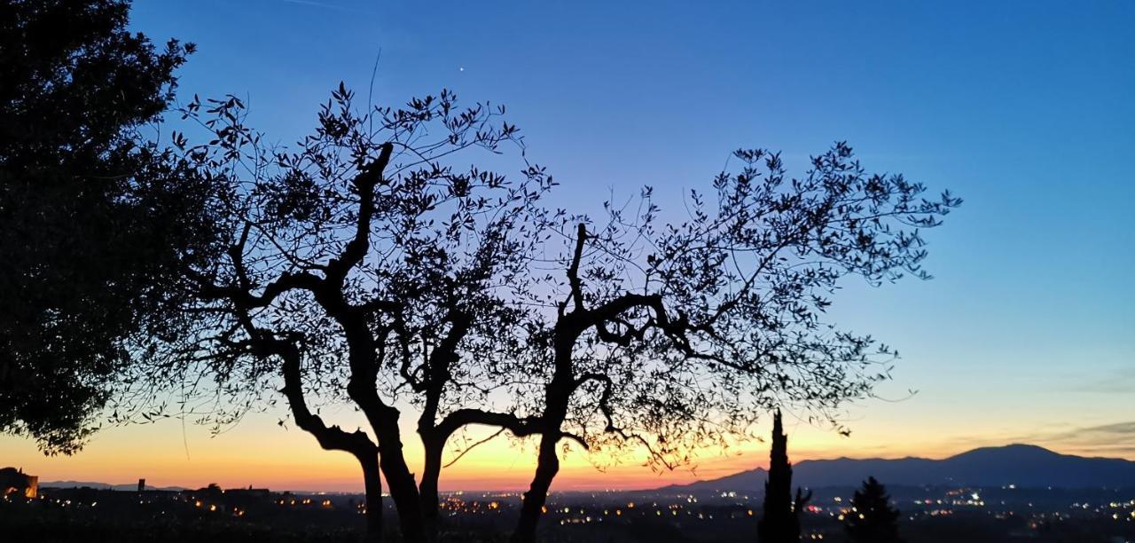 Agriturismo Cascina Cipressa San Romano  Εξωτερικό φωτογραφία