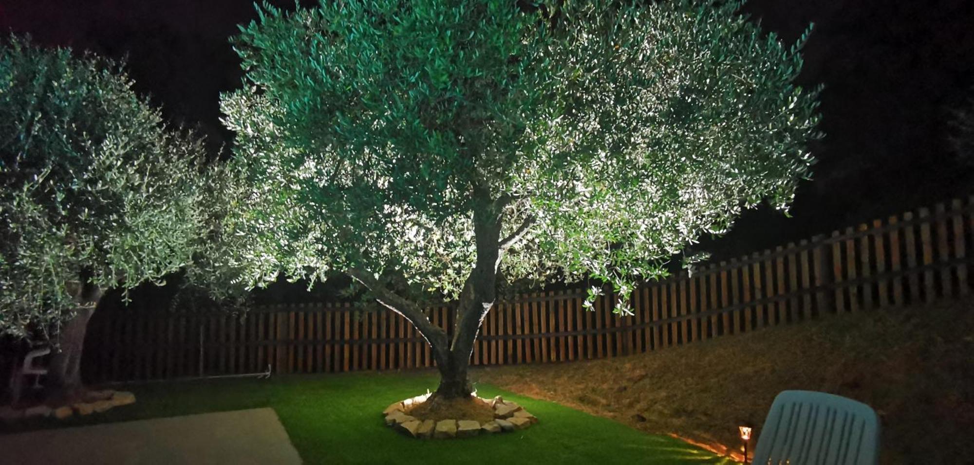 Agriturismo Cascina Cipressa San Romano  Εξωτερικό φωτογραφία