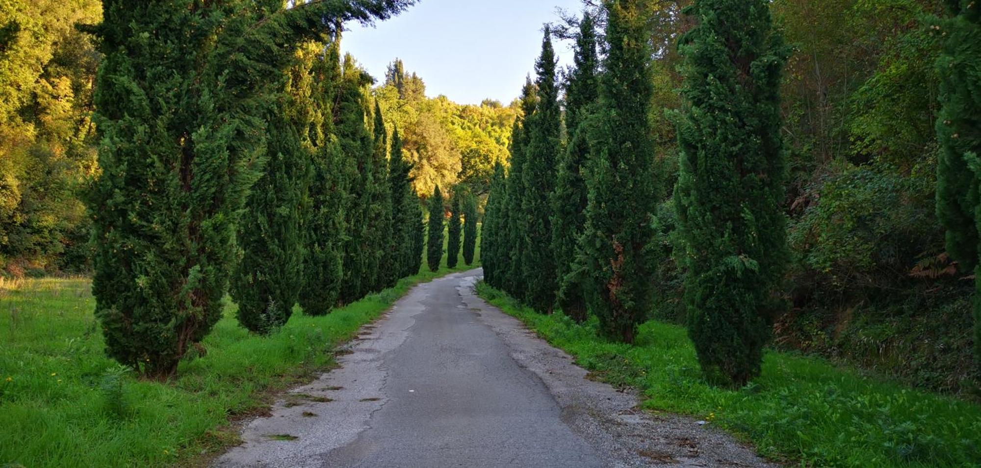 Agriturismo Cascina Cipressa San Romano  Εξωτερικό φωτογραφία